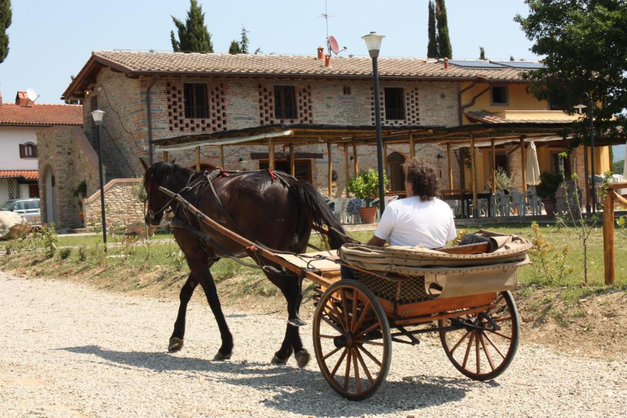 Agriturismo La Colombaia Villa Vicchio Buitenkant foto