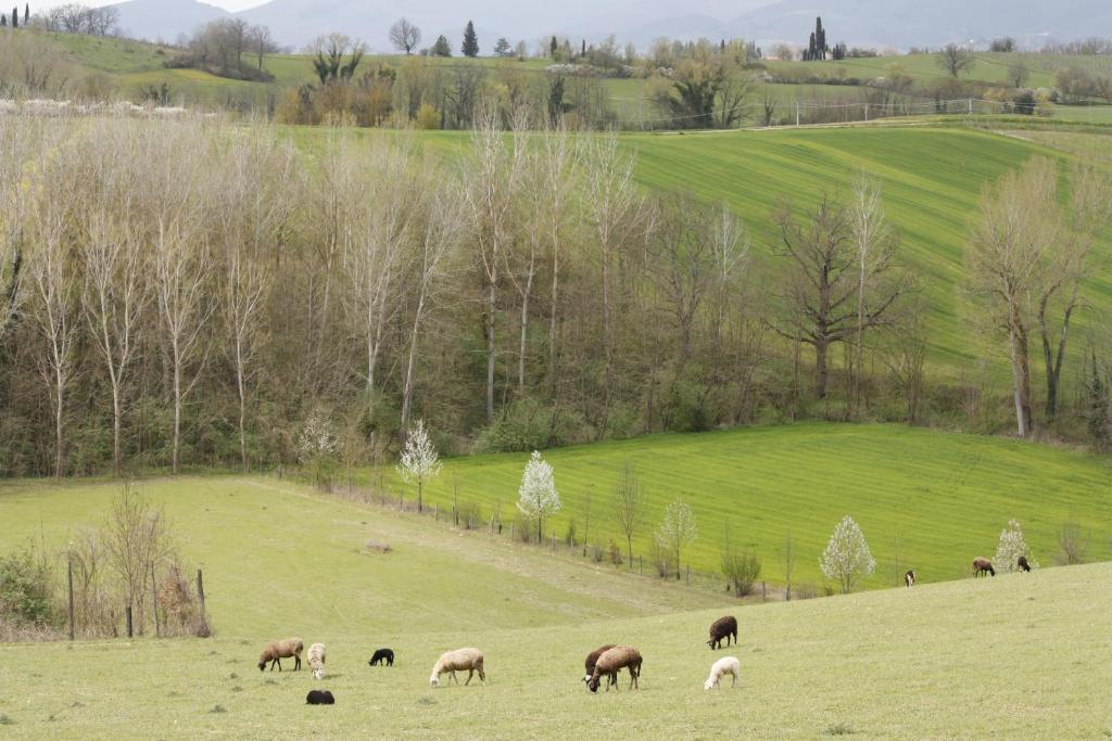 Agriturismo La Colombaia Villa Vicchio Buitenkant foto
